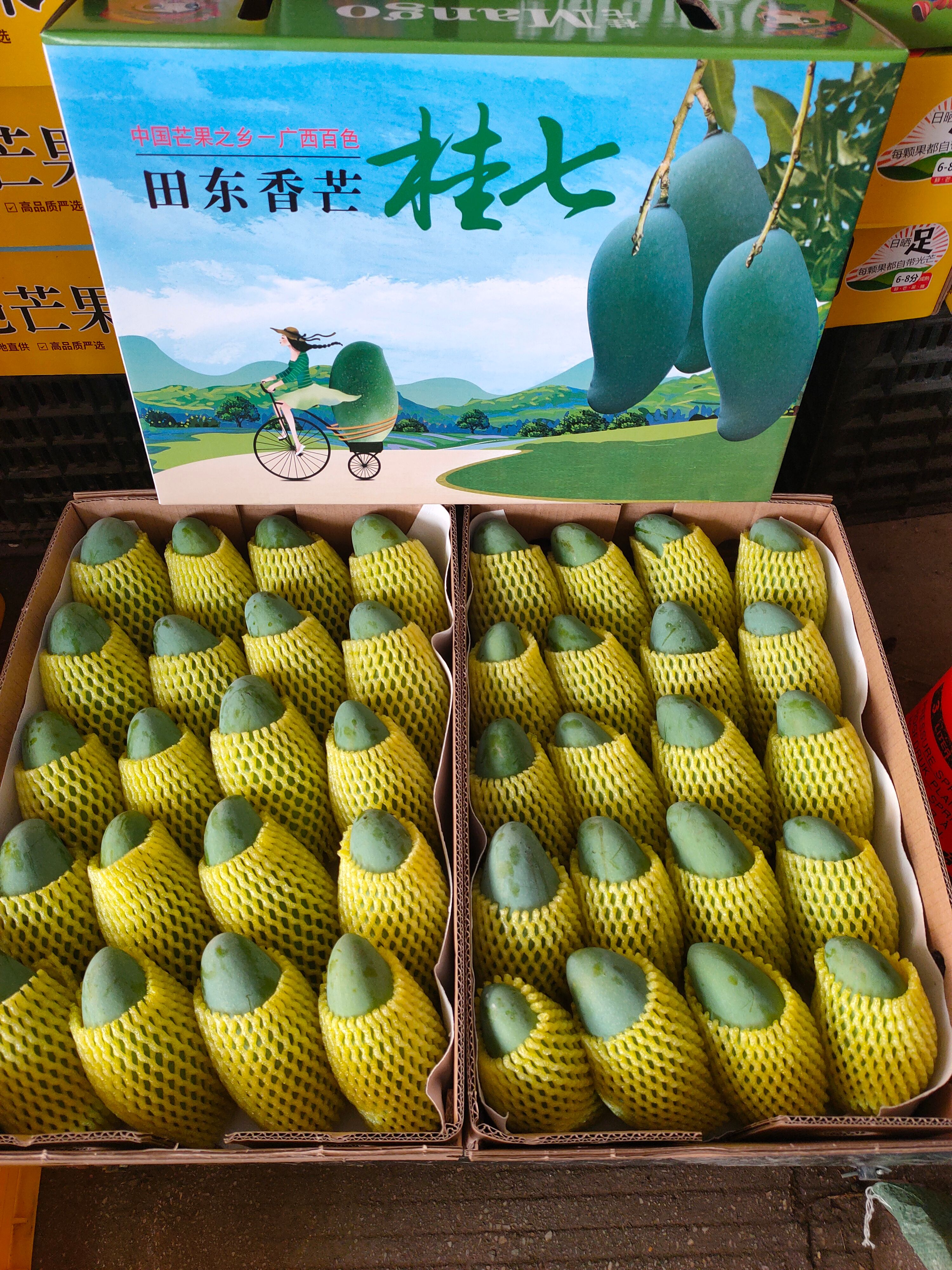  广西桂七香芒，一个让全世界都赞叹的芒果，号称芒果**