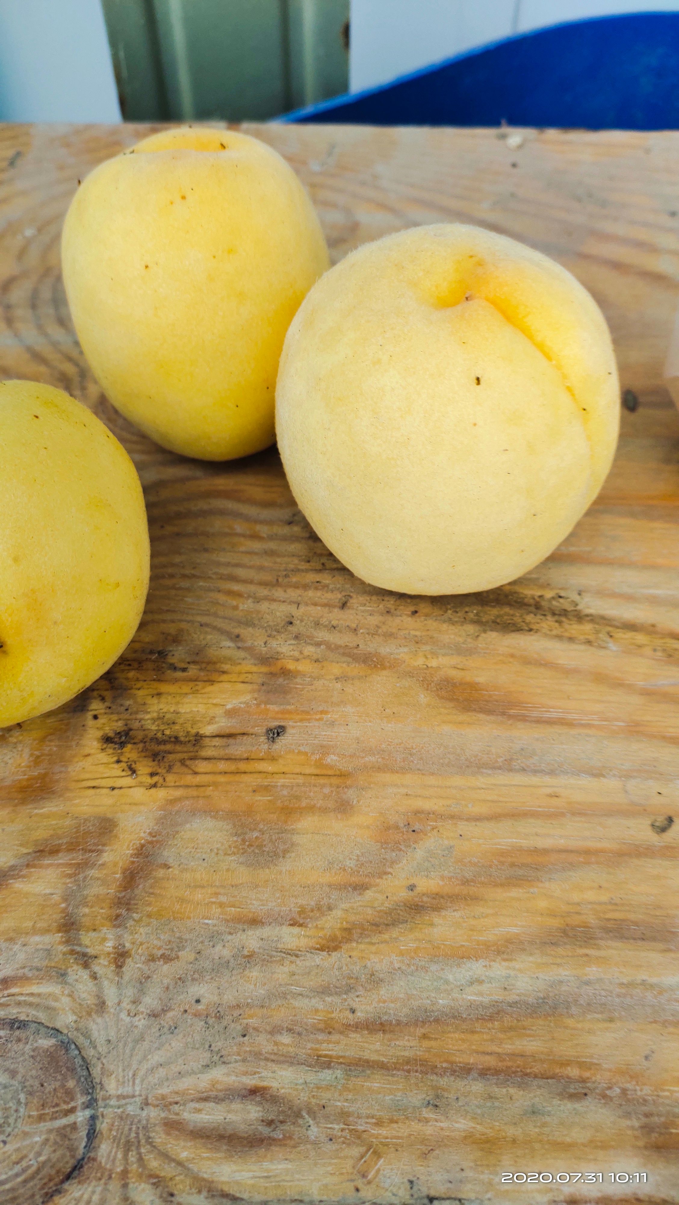 锦绣黄桃 红芯黄桃