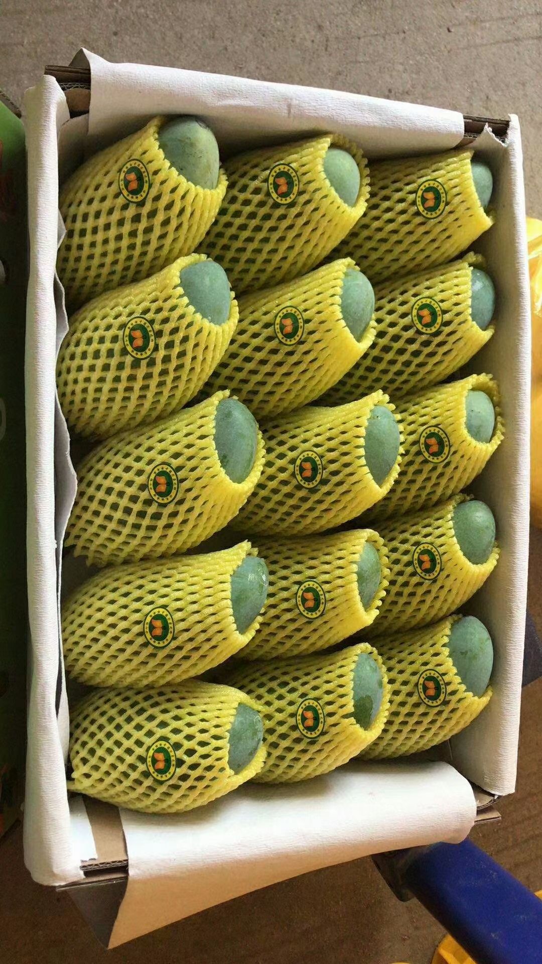  广西桂七香芒，一个让全世界都赞叹的芒果，号称芒果**