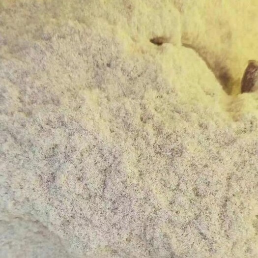 石家庄植物添加剂 玉米胚芽粕 竹粉