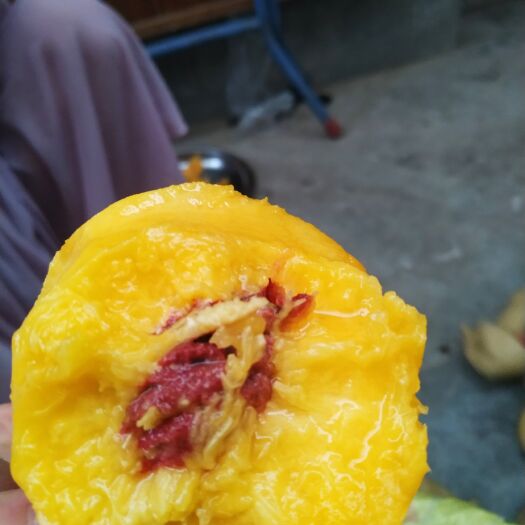 扶风县 黄桃