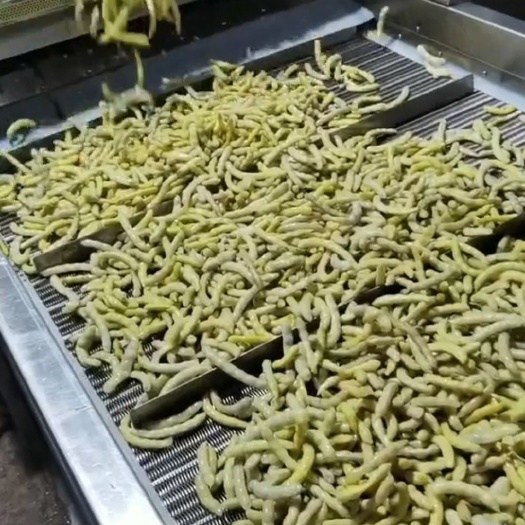 速冻蔬果 绥化特产速冻黄金沟火爆上市