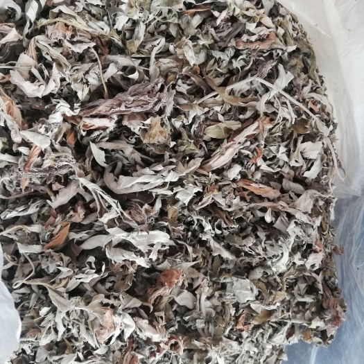 艾草 艾叶
