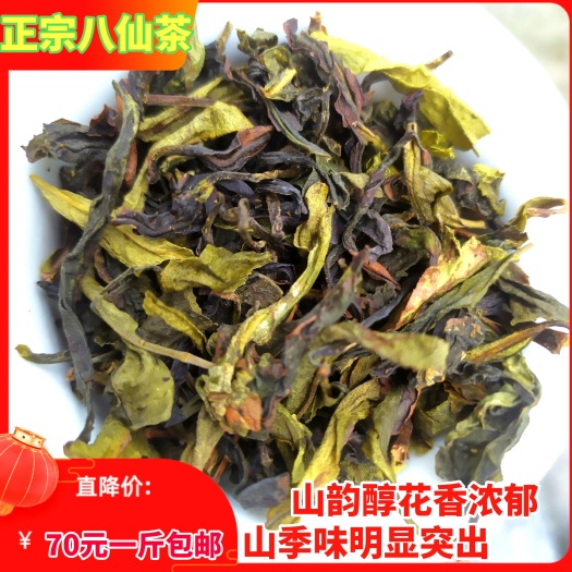 惠来县奇兰茶 诏安八仙茶 潮汕高山茶福建乌龙茶惠来土山茶汀洋八仙茶