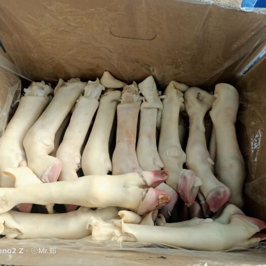 中牟县纯白羊蹄大中小规格齐全