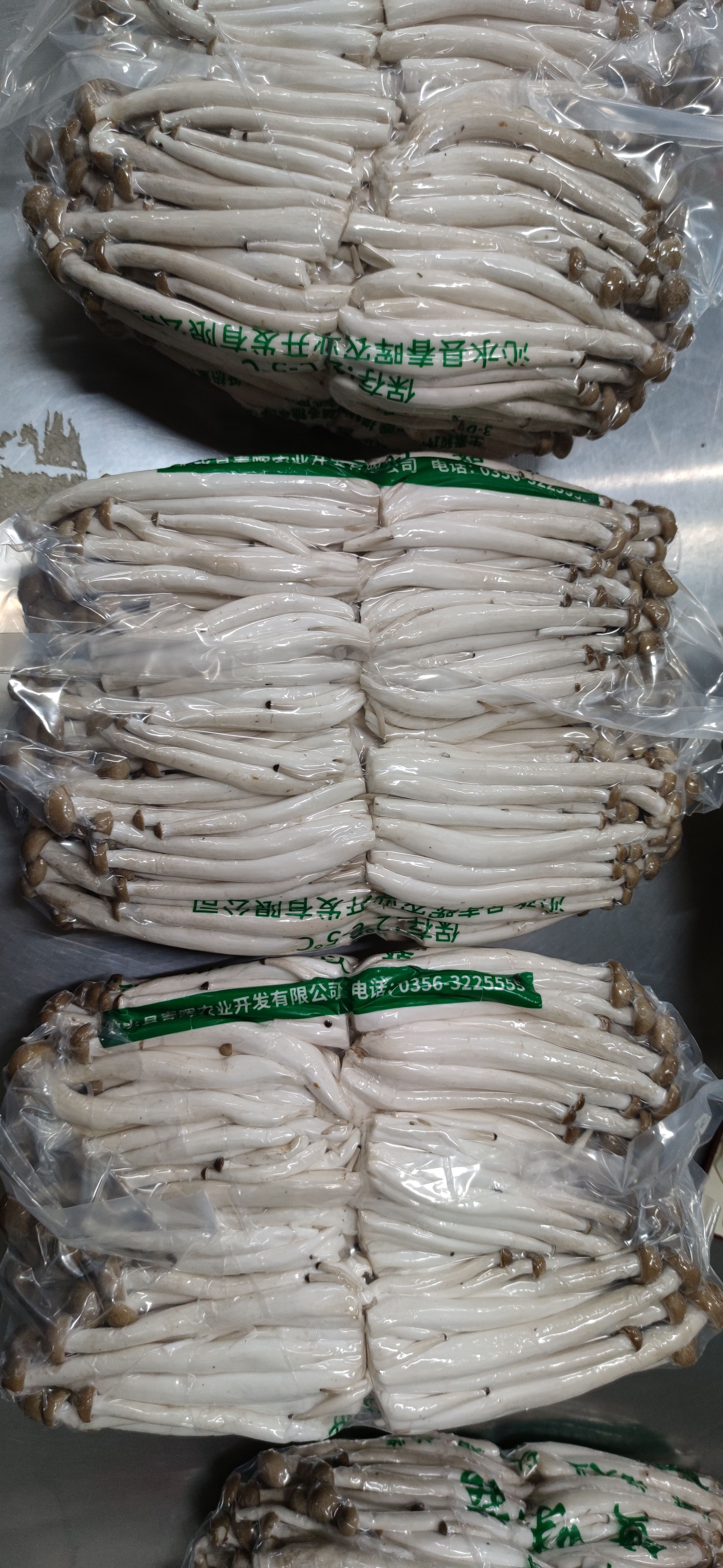 沁水县大量蟹味菇搞促销
