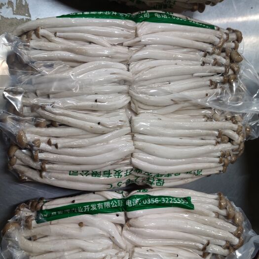 沁水县大量蟹味菇搞促销