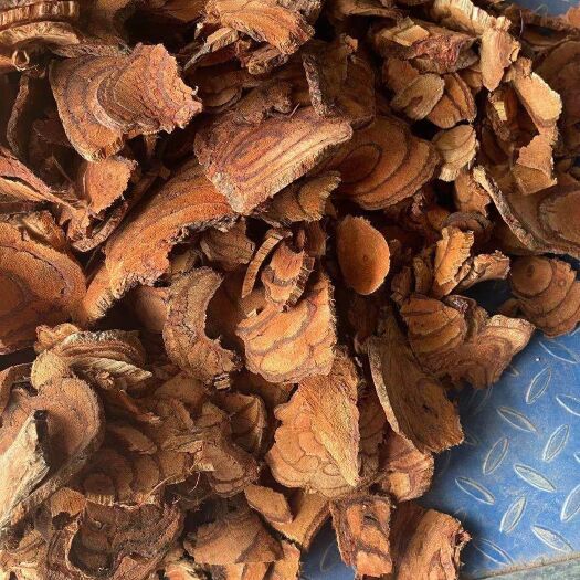 南宁鸡血藤  中圈，过检货