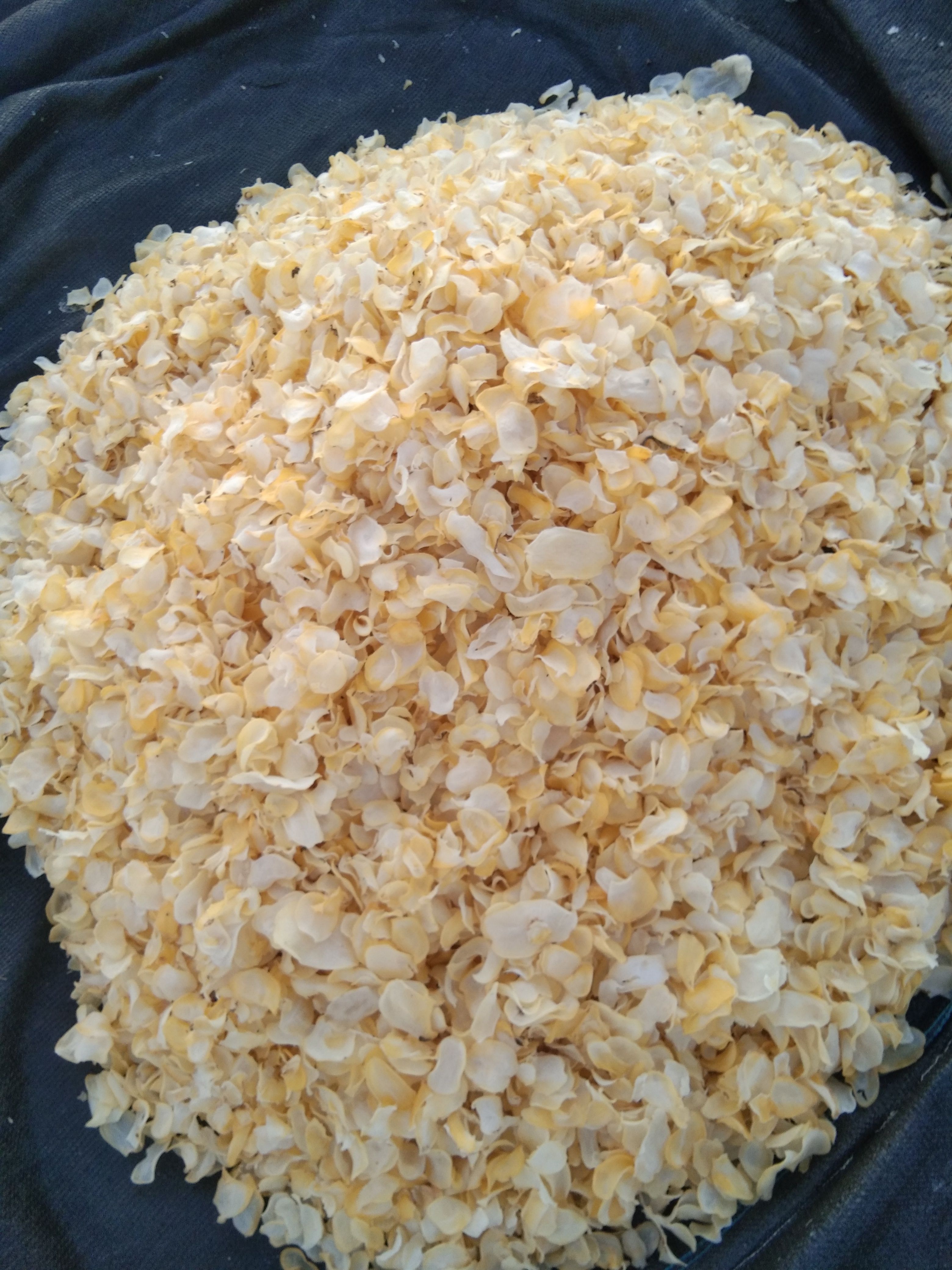 干土豆  工厂直销片