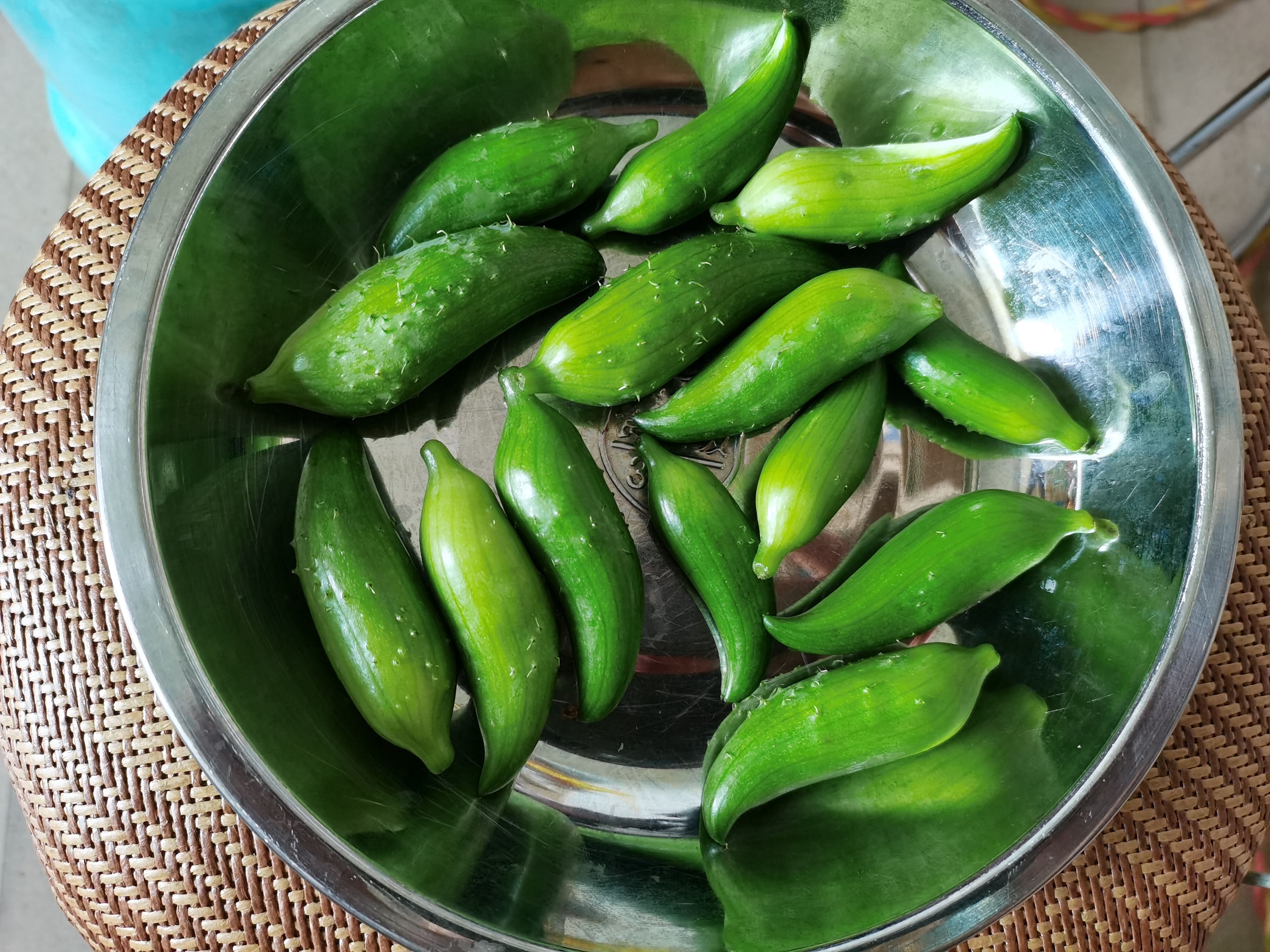 黄瓜  洋辣子小雀瓜小金瓜小豆瓜蔬菜野菜水果属瓜豆餐饮酒店高