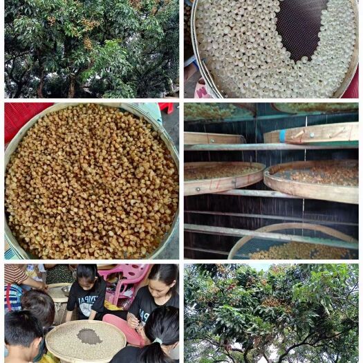 博白县桂圆干  广西博白桂圆肉   纯手工制作