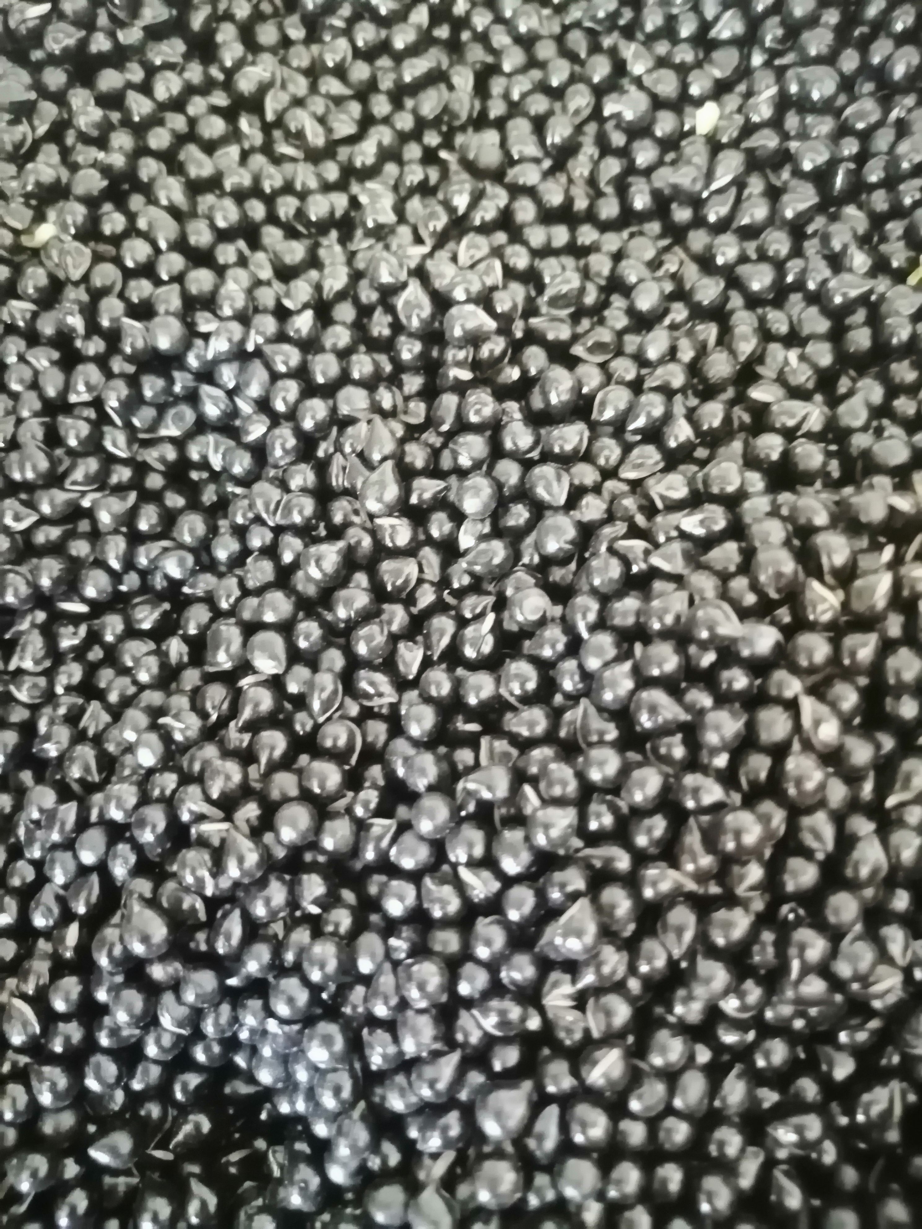 保品种辽宁大阔叶白鲜皮新种子    保大粒白鲜皮新种子