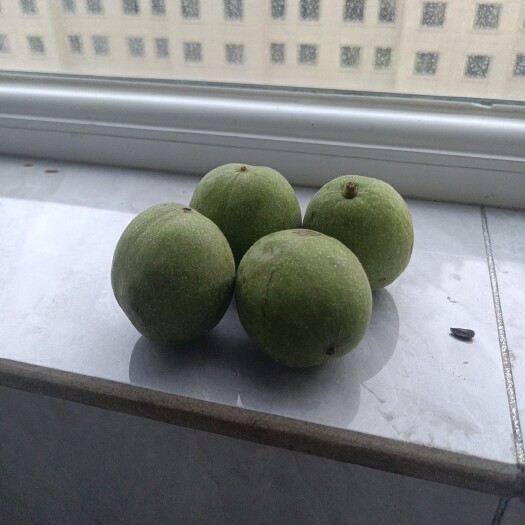 清水县 青皮核桃