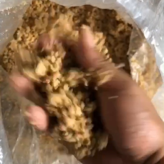 石家庄 粮食豆渣  饲料厂养殖利器