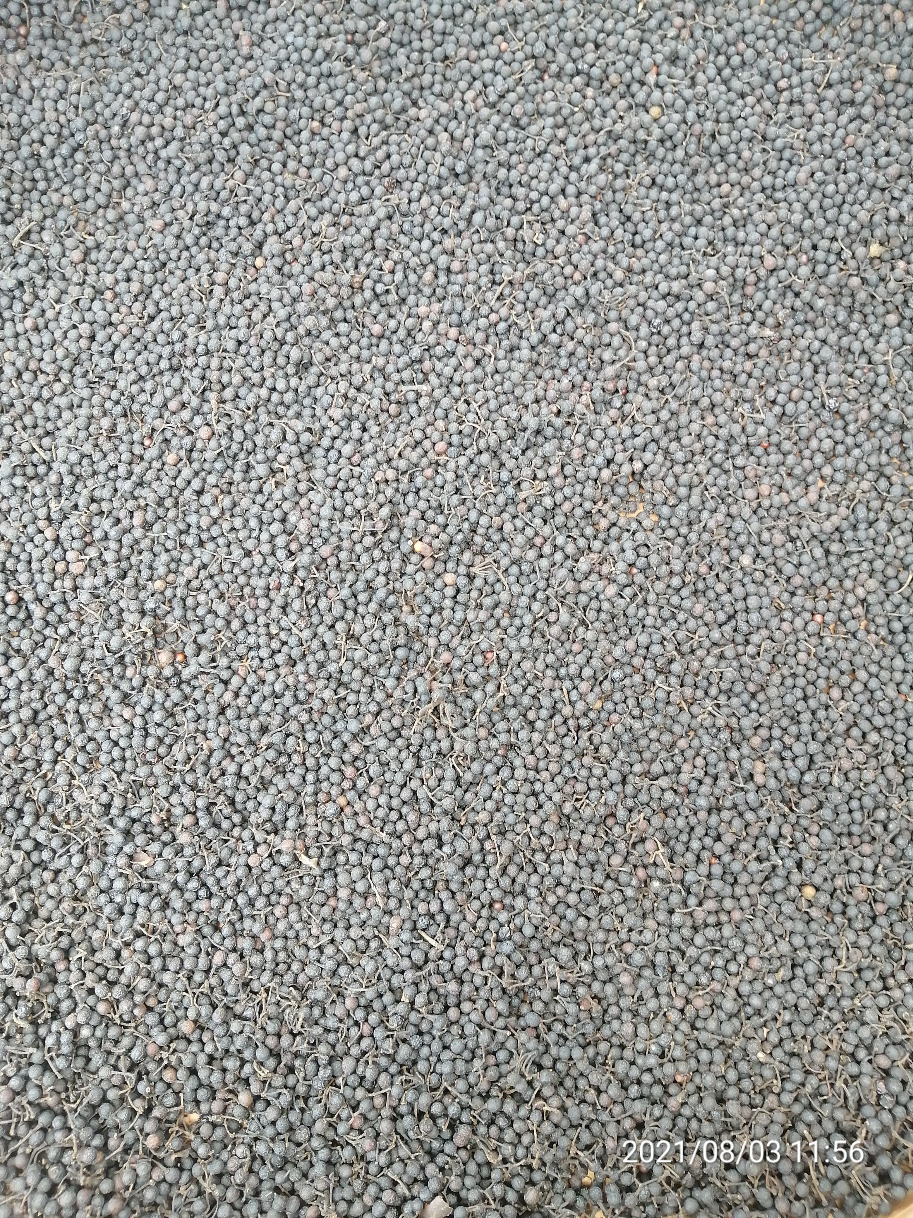 山胡椒 木姜子（山姜子）干货