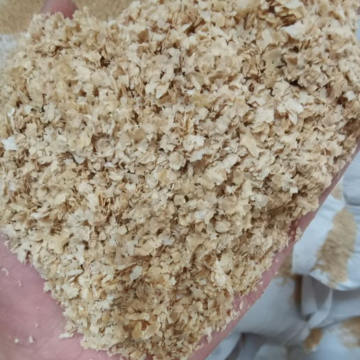 蚌埠麦麸 优质大片烘干麸皮 大量接单中。