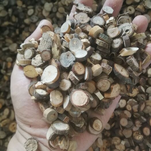 平南县桂枝片 中片8-12mm