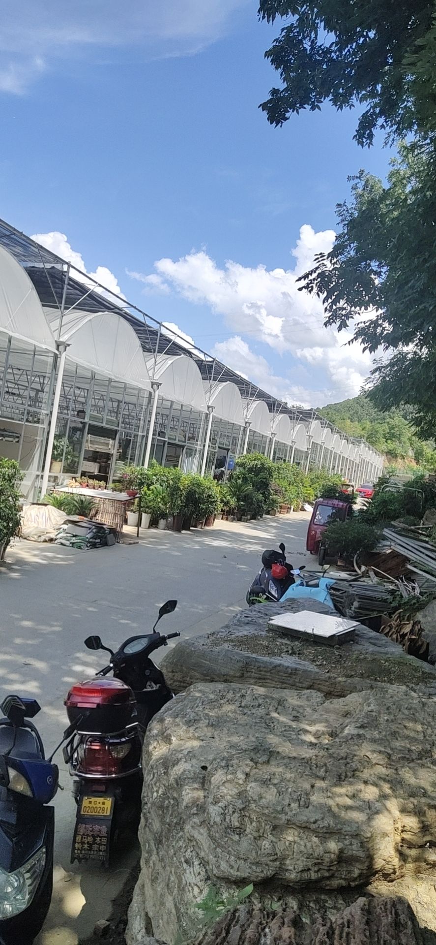  联栋膜棚 简易大棚 智能棚  销售与安装