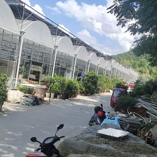 鸡泽县 联栋膜棚 简易大棚 智能棚  销售与安装