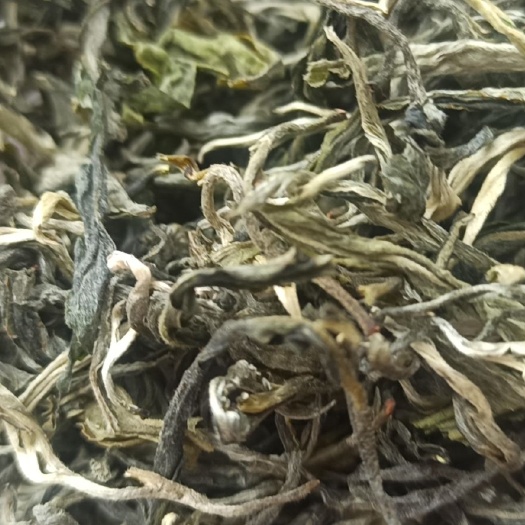 无极县毛峰茶 绿茶