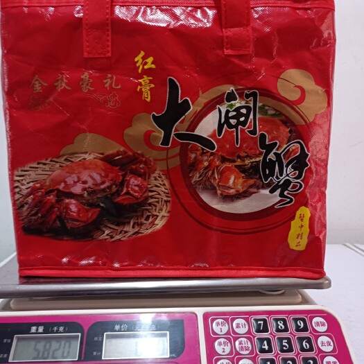 广饶县 正宗永安大闸蟹，1两8到3两的公母通货，大量有现货欢迎合作