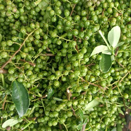 丽江 青花椒