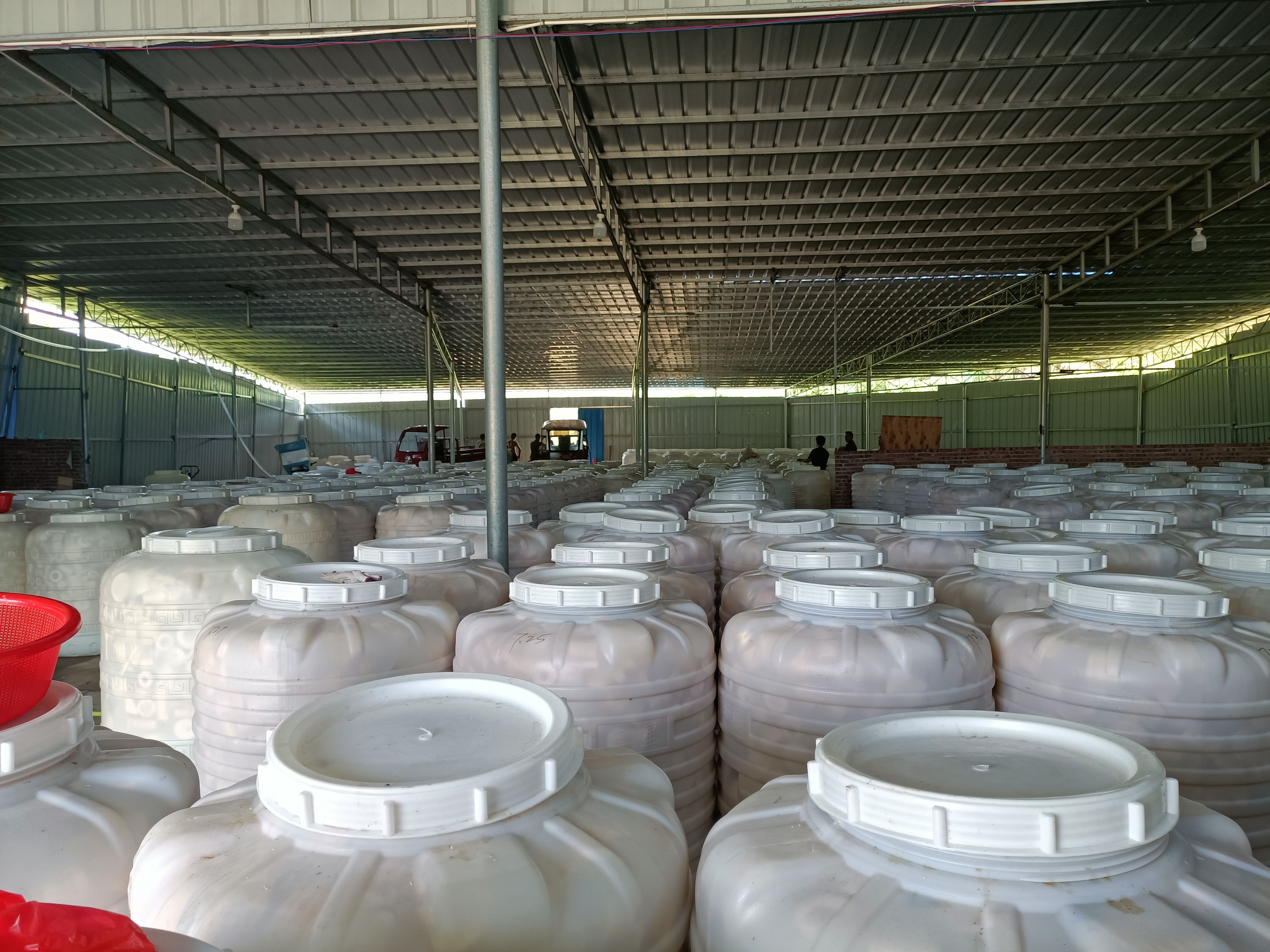 本厂大量酸笋供应