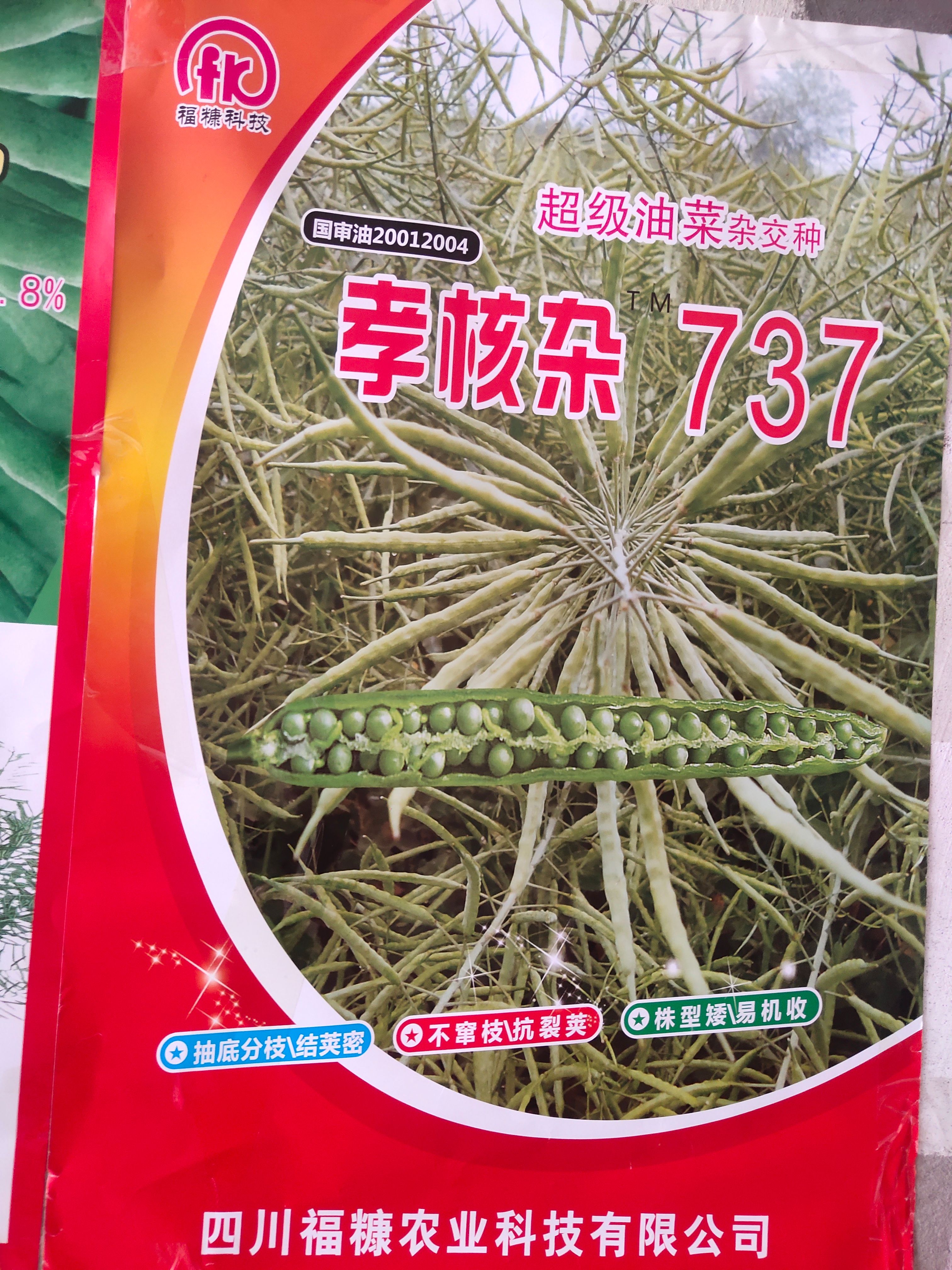 油菜籽种子  孝核杂737油菜种子，，杂交品种，高产量
