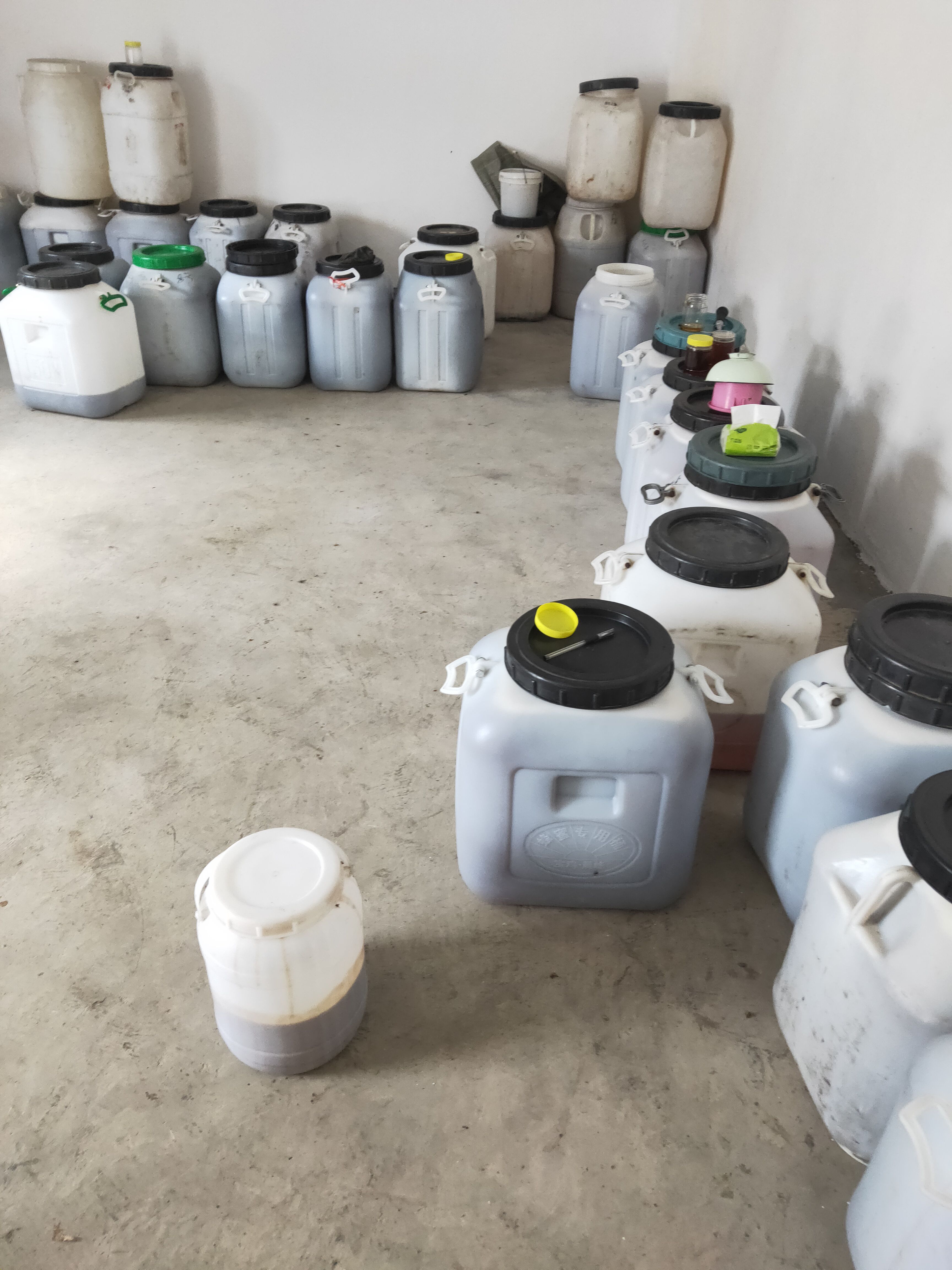 土蜂蜜一年一次