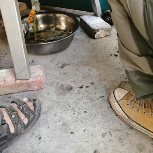 获嘉县 我们这里的花生油，小机榨