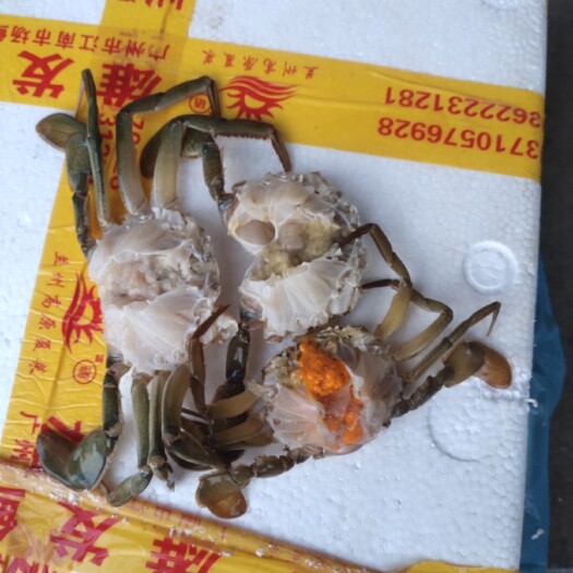福州青蟹排，蟹排，饭店排档要备良品，价格实惠