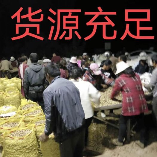 新沂市鲜花生  江苏徐州新沂，白皮，花生系列，鲜货，带壳花生，质量好价格低