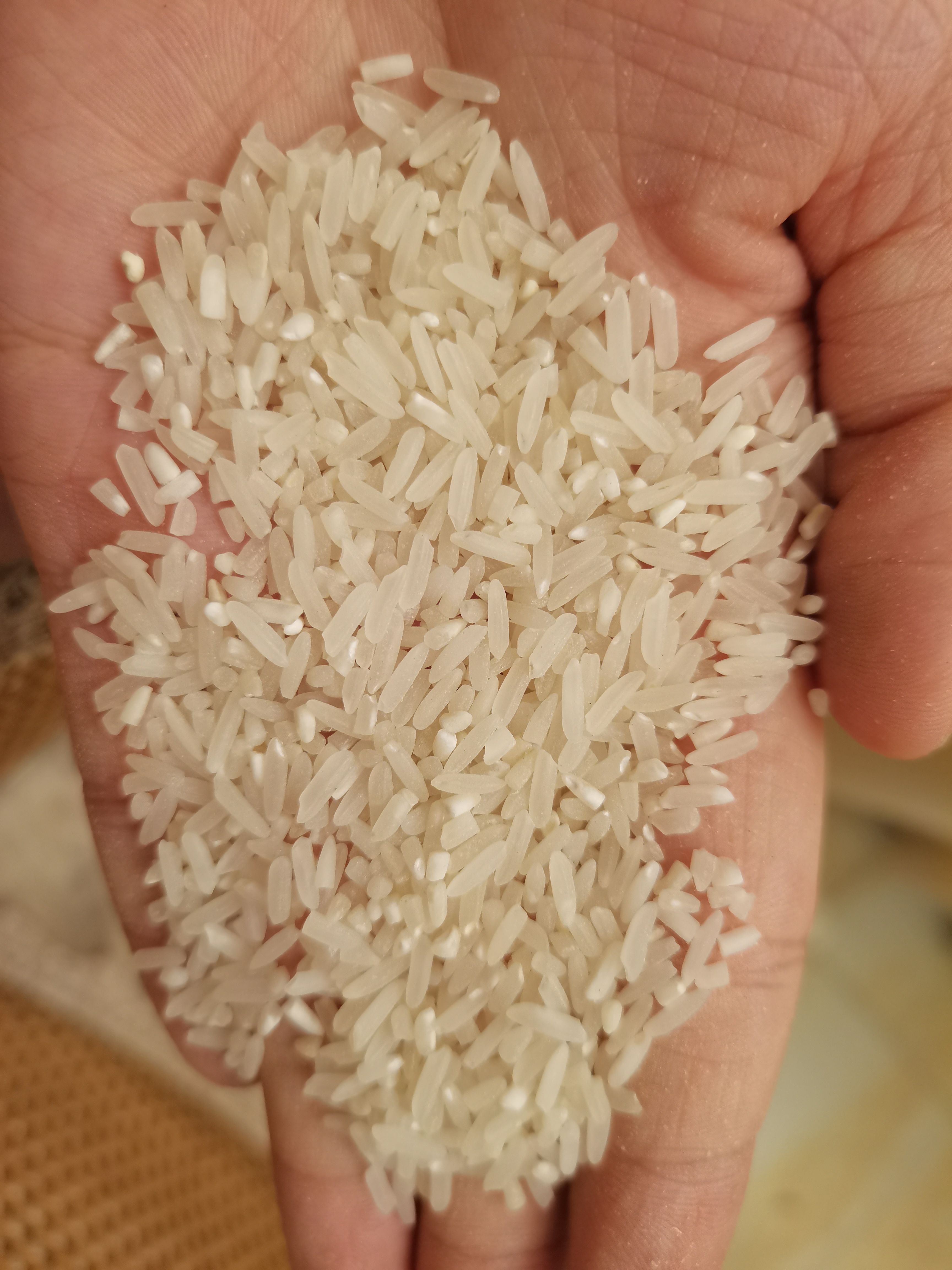 籼稻谷 各种优质稻上市，天龙，泰优，香优，