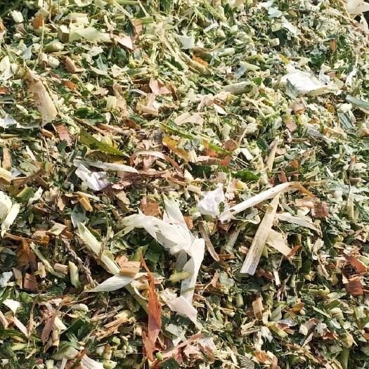 滑县玉米秸秆 双收机器作业，