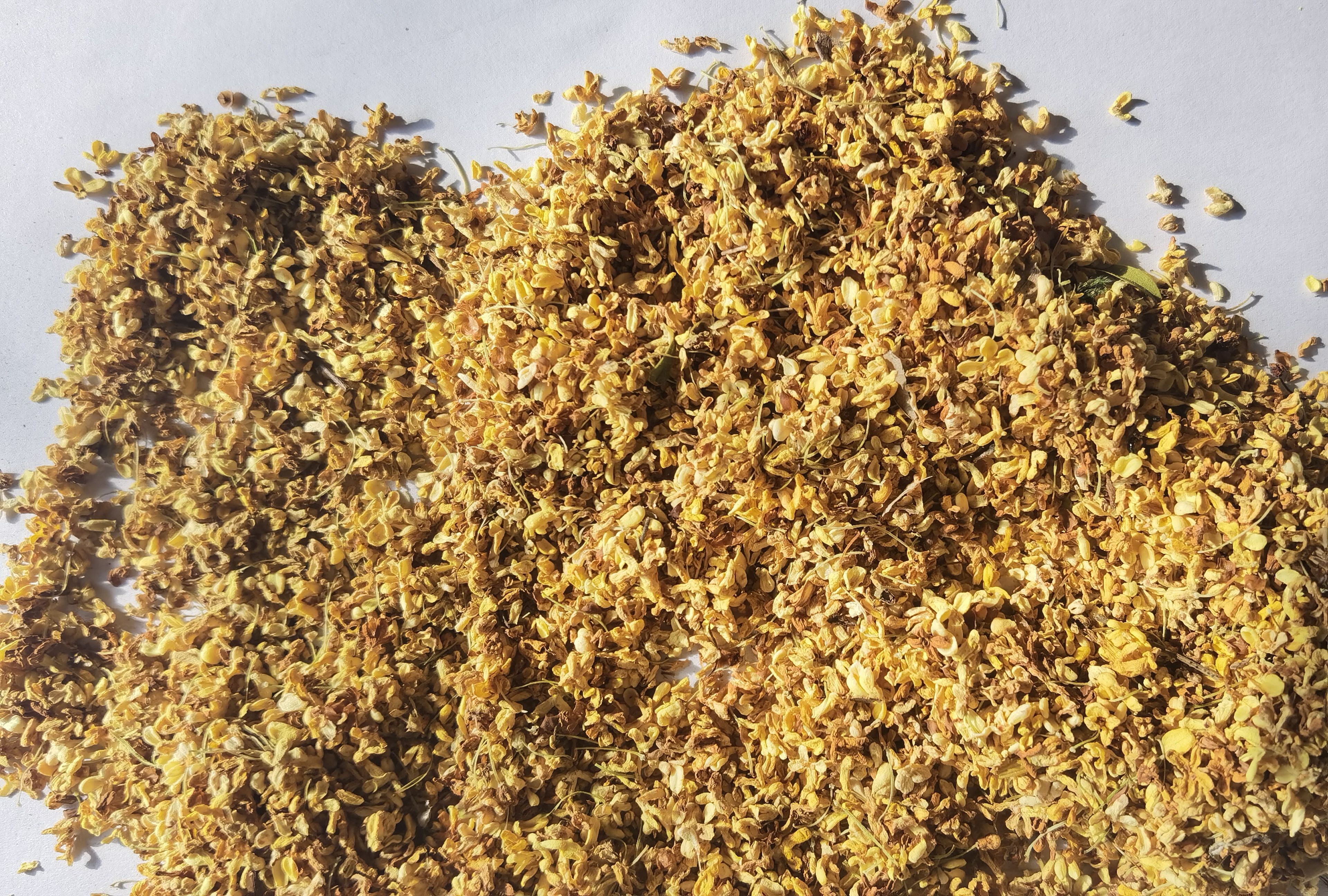 桂花瓣  桂林低温脱水桂花干