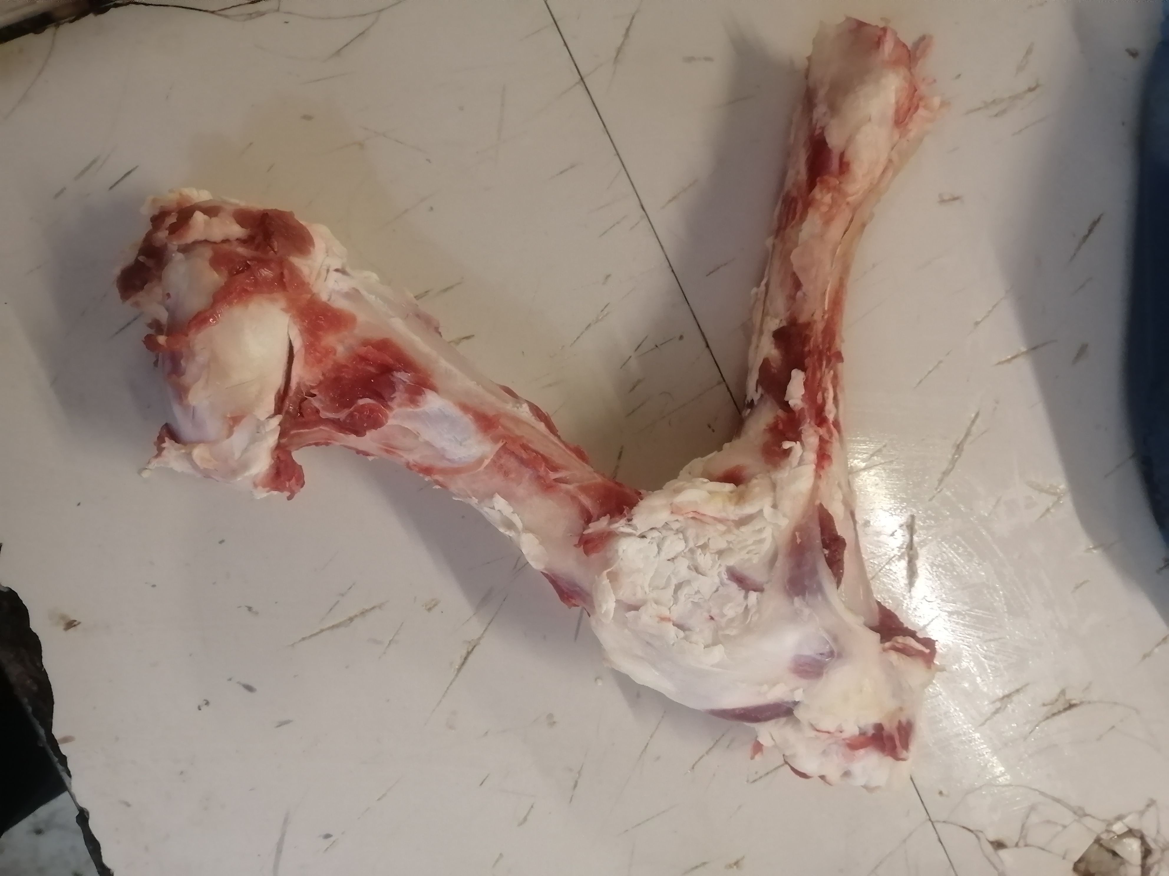 牛骨头童子骨小牛童子骨煲汤烧烤专用