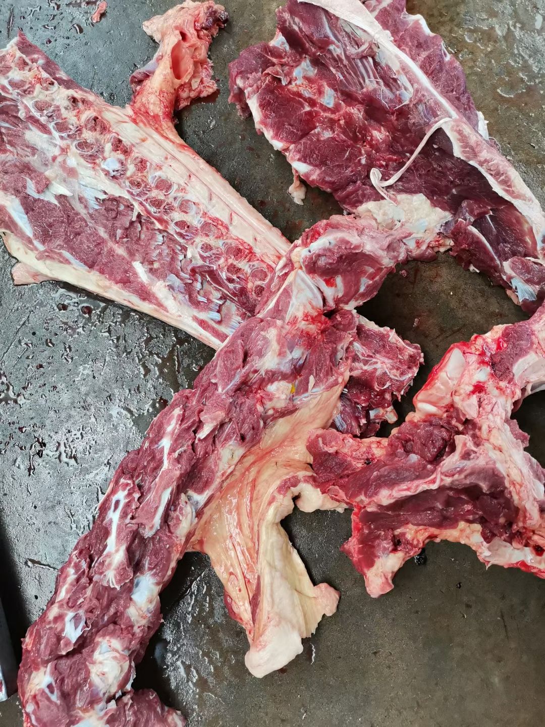 驴骨  满肉驴脊骨