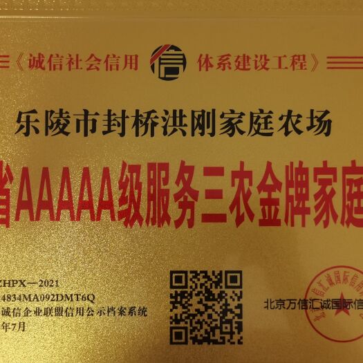 乐陵市金蝉  2024年白蜡卵枝杨树卵枝
