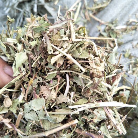 正阳县花生秧，麦秸秆，牛，羊草