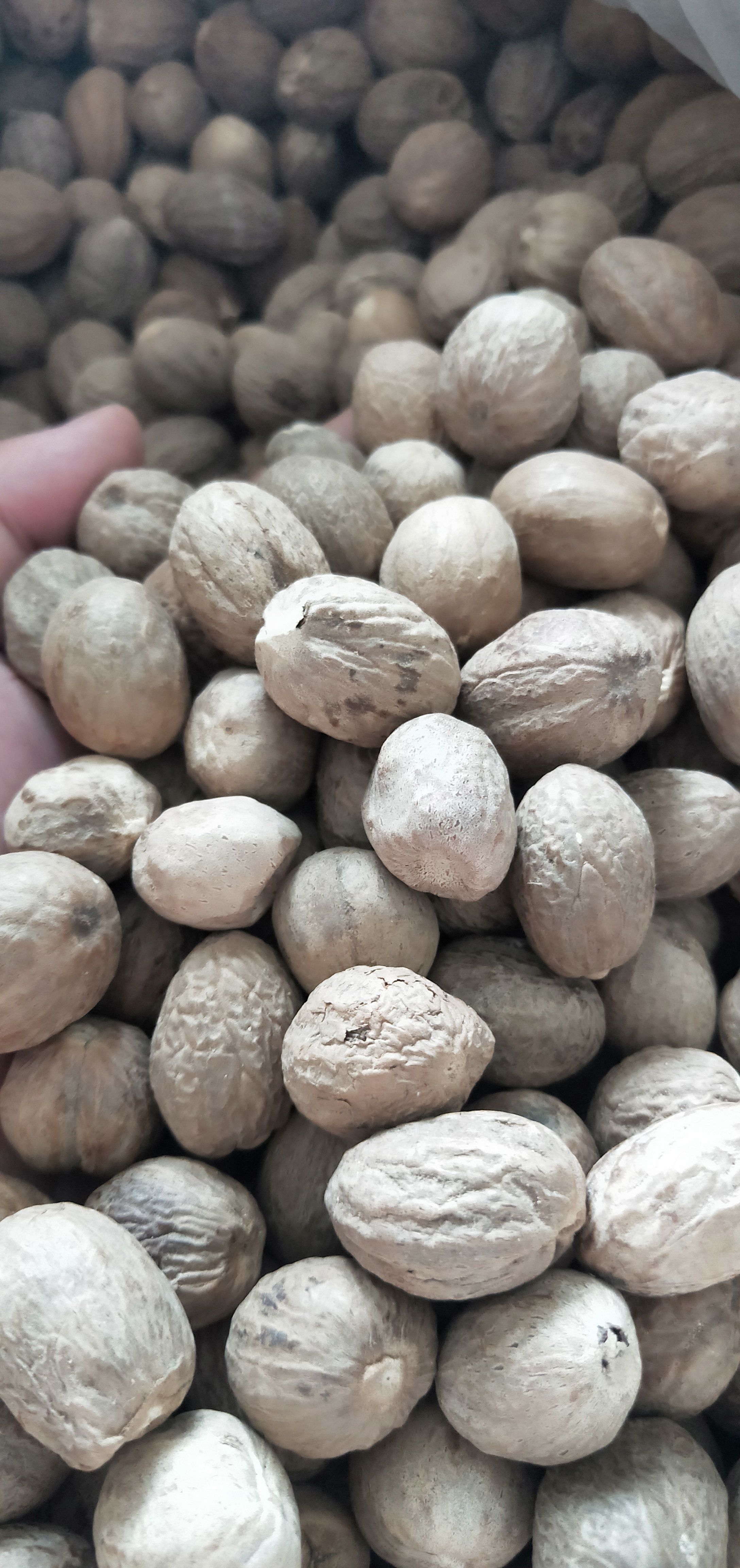 精品肉豆蔻 重油果