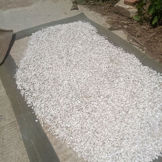 商洛白茯苓 茯苓干货