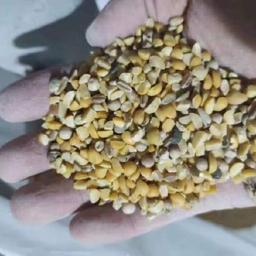 石家庄干豌豆 豌豆瓣