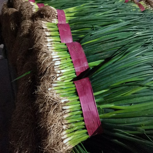香葱产地直供，常年有货，货源充足，价格美丽