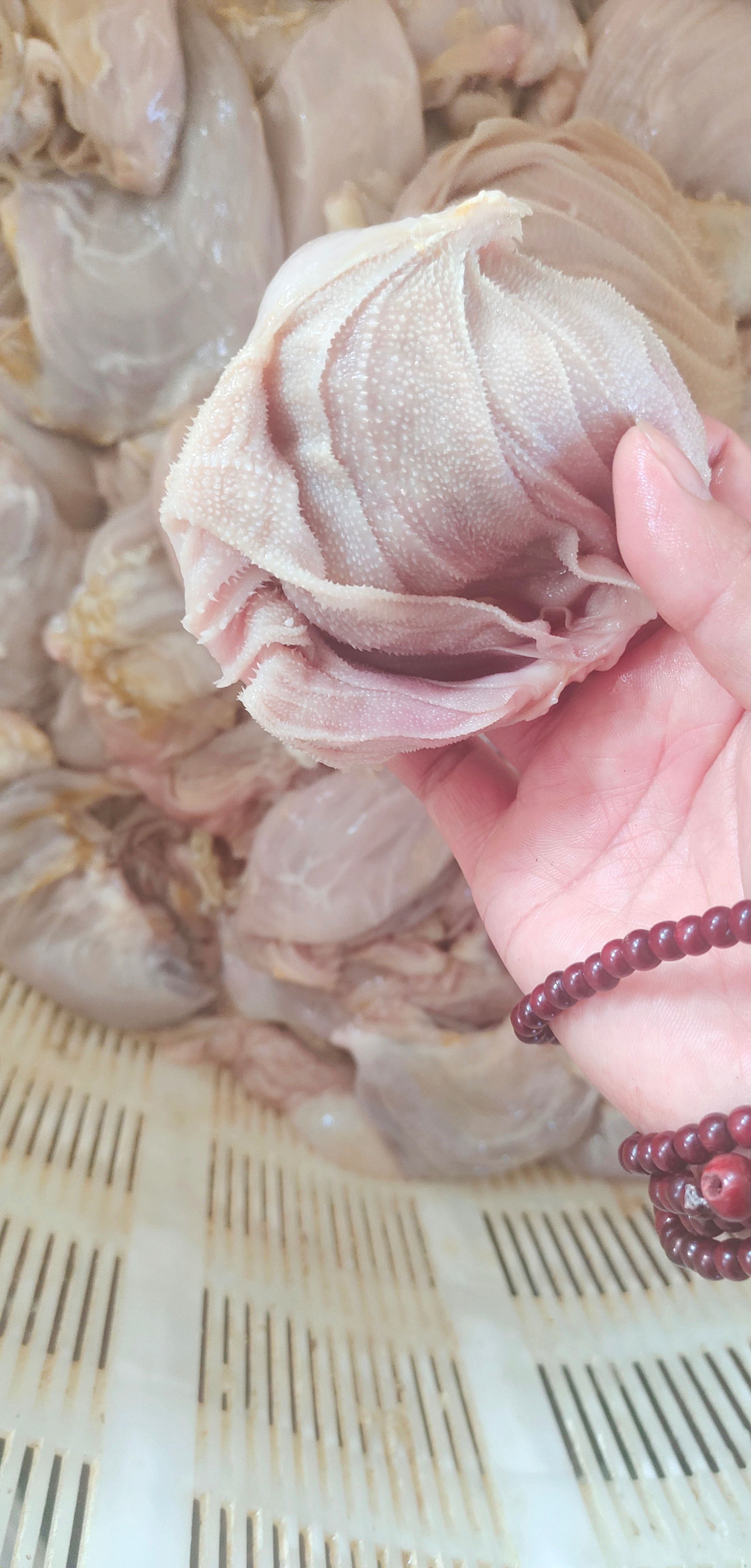 羊肚   草原羊百叶，支持线上下单，支持现场看货，支持一件样