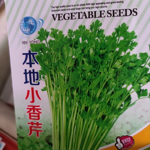 余干县小香芹芹菜种子，500克，空心，香味浓，