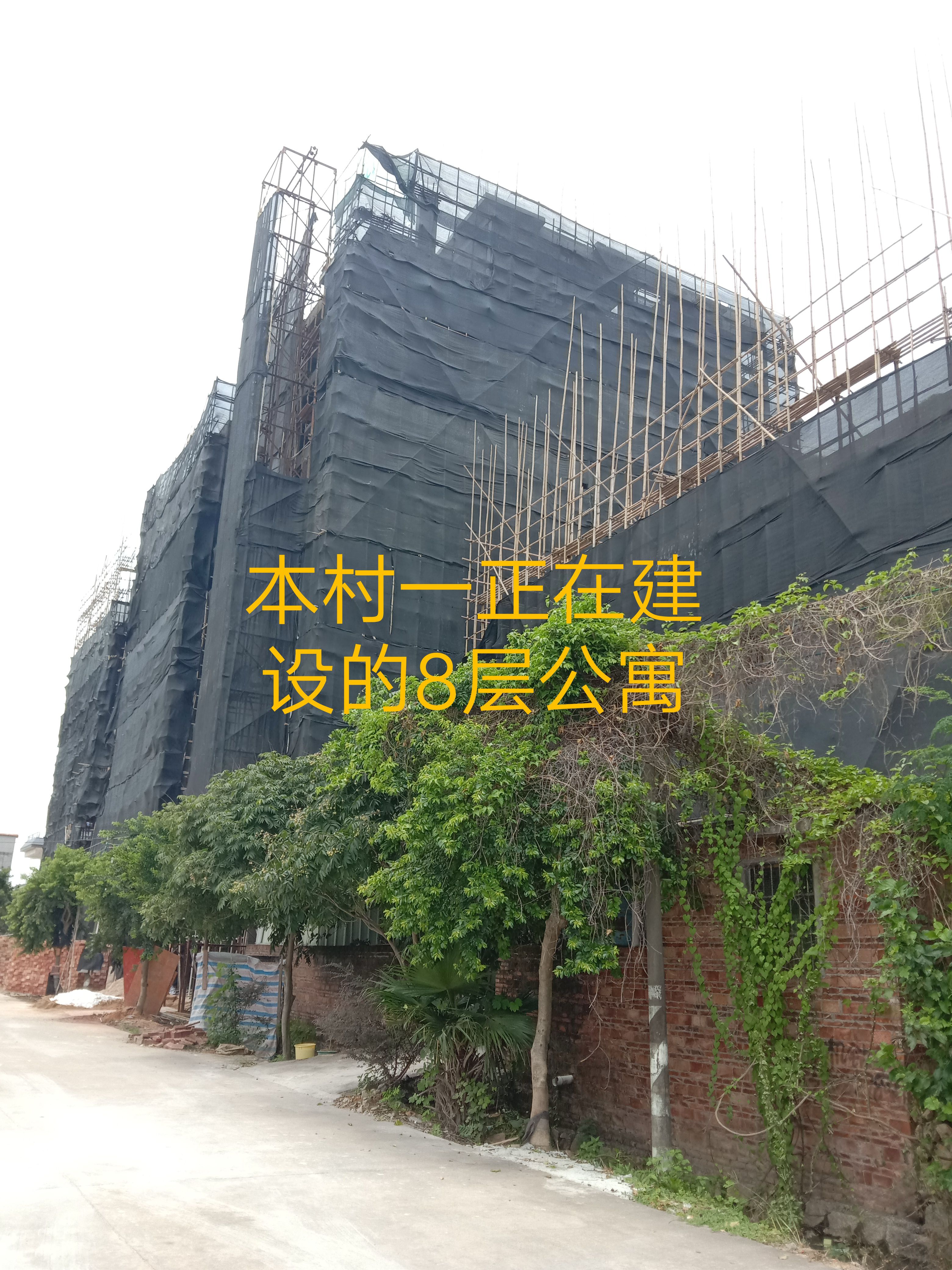 广东鹤山共和镇泮坑丰塘村120平方米*2宅基地出让