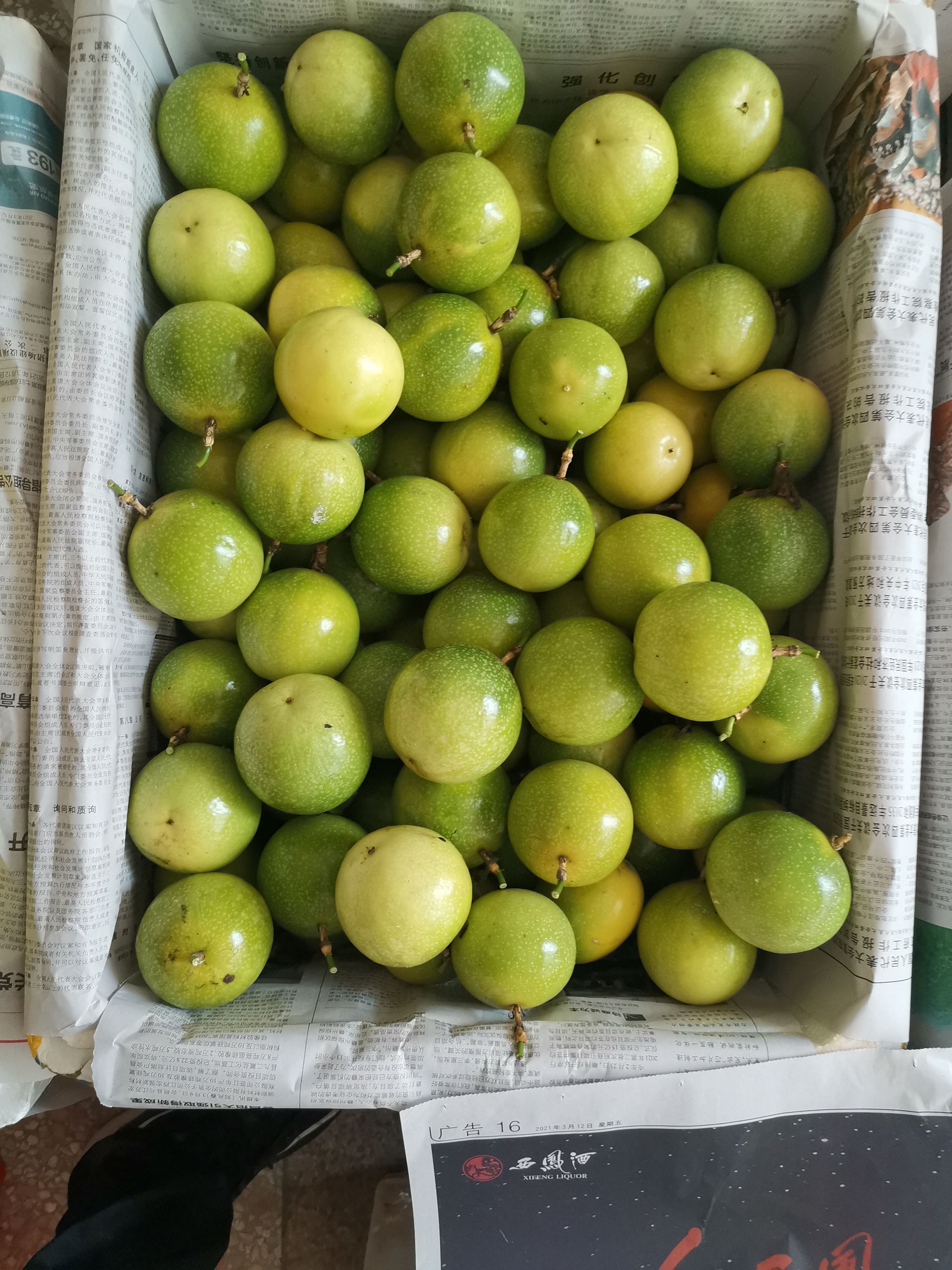 黄金百香果  江西省赣南寻乌黄金果