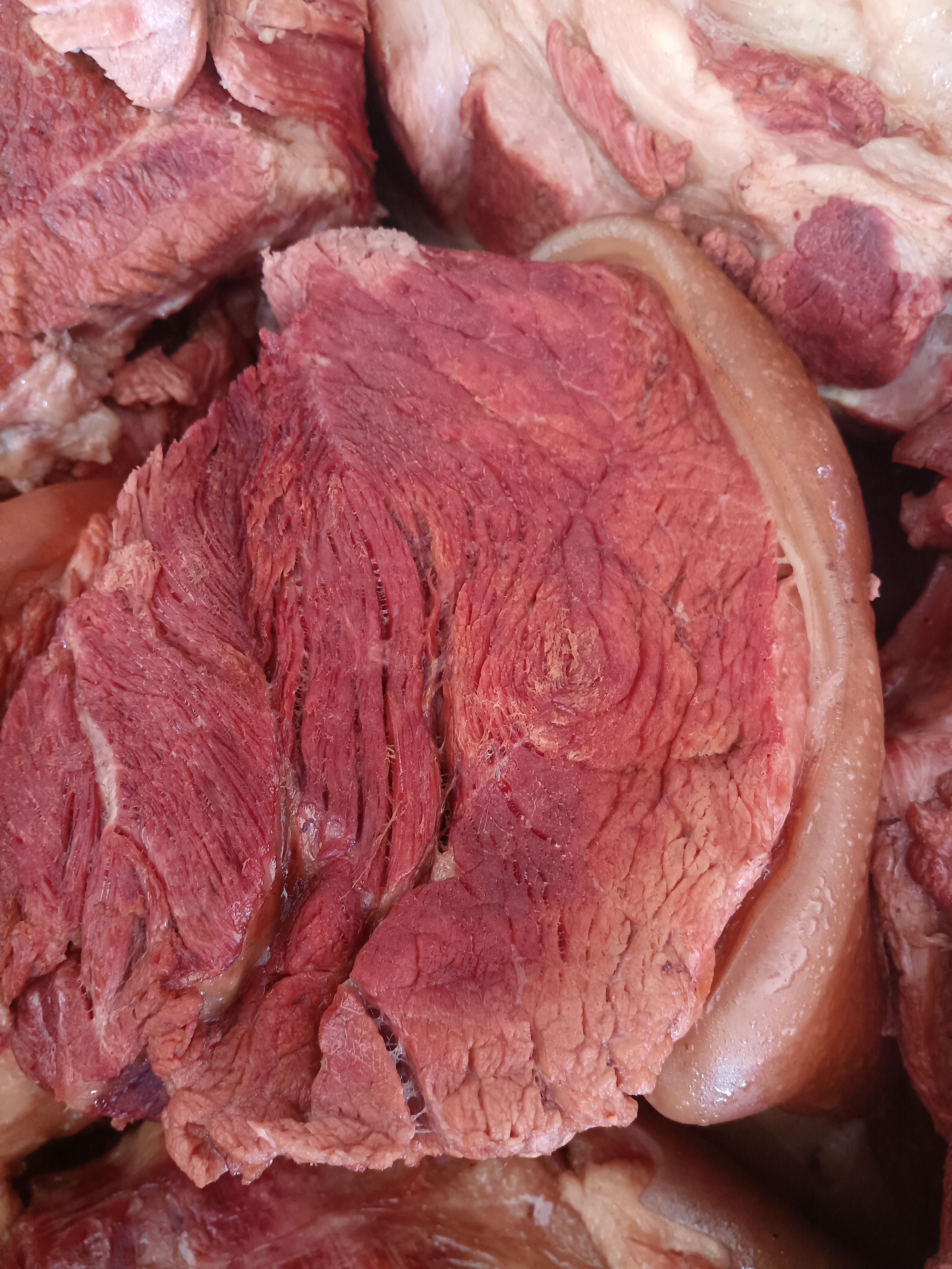 鲜驴肉  熟驴肉@熟板肠@山东特产五香驴肉@老汤驴肉