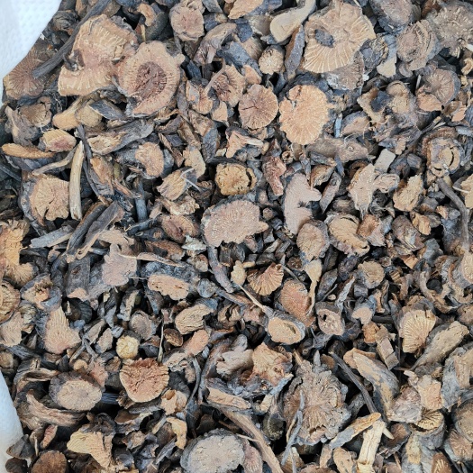 地榆 500克包邮中药材批发