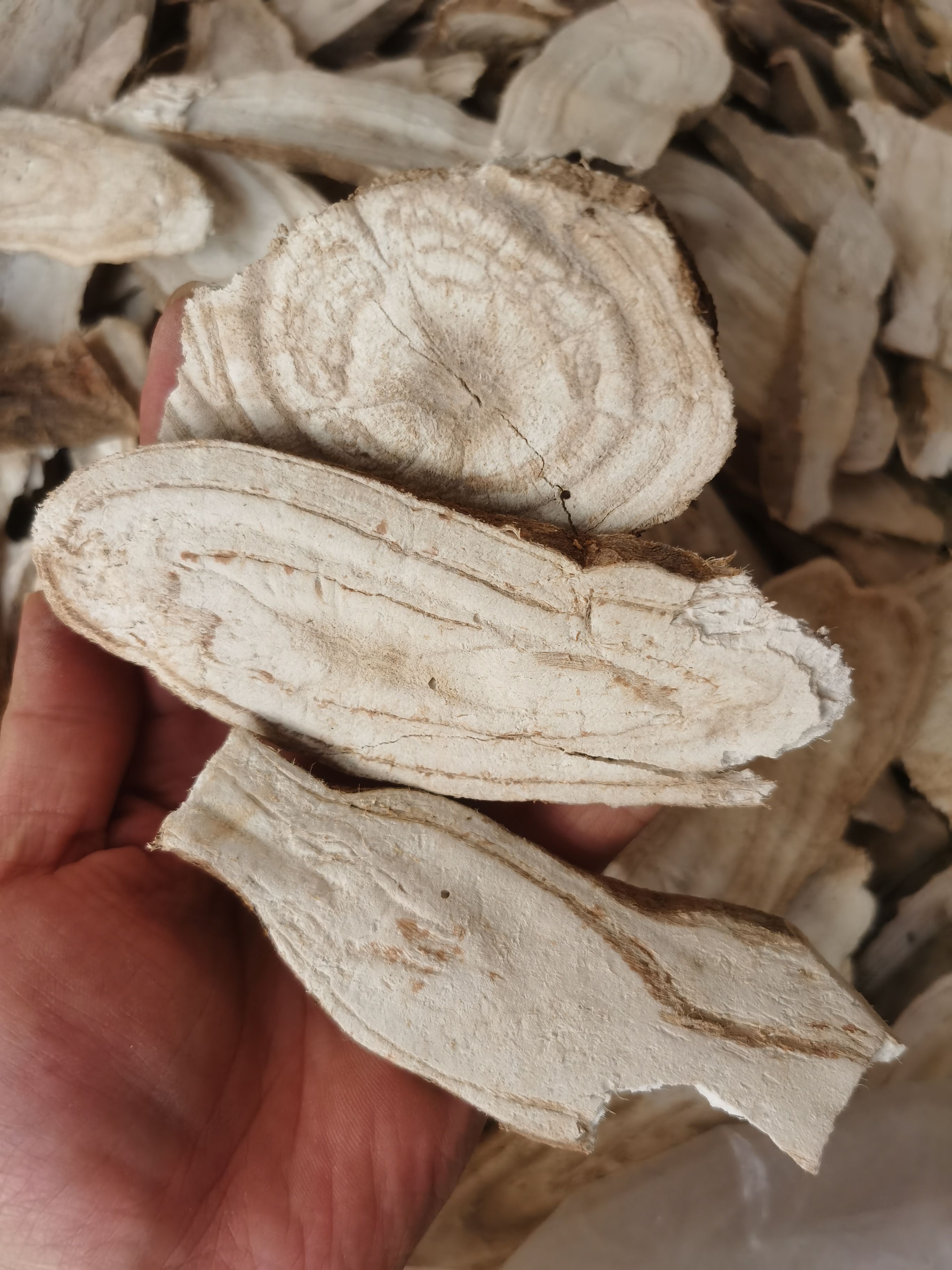 干葛根  葛根片泡茶葛根农家柴葛根无硫葛根块泡水喝葛根茶